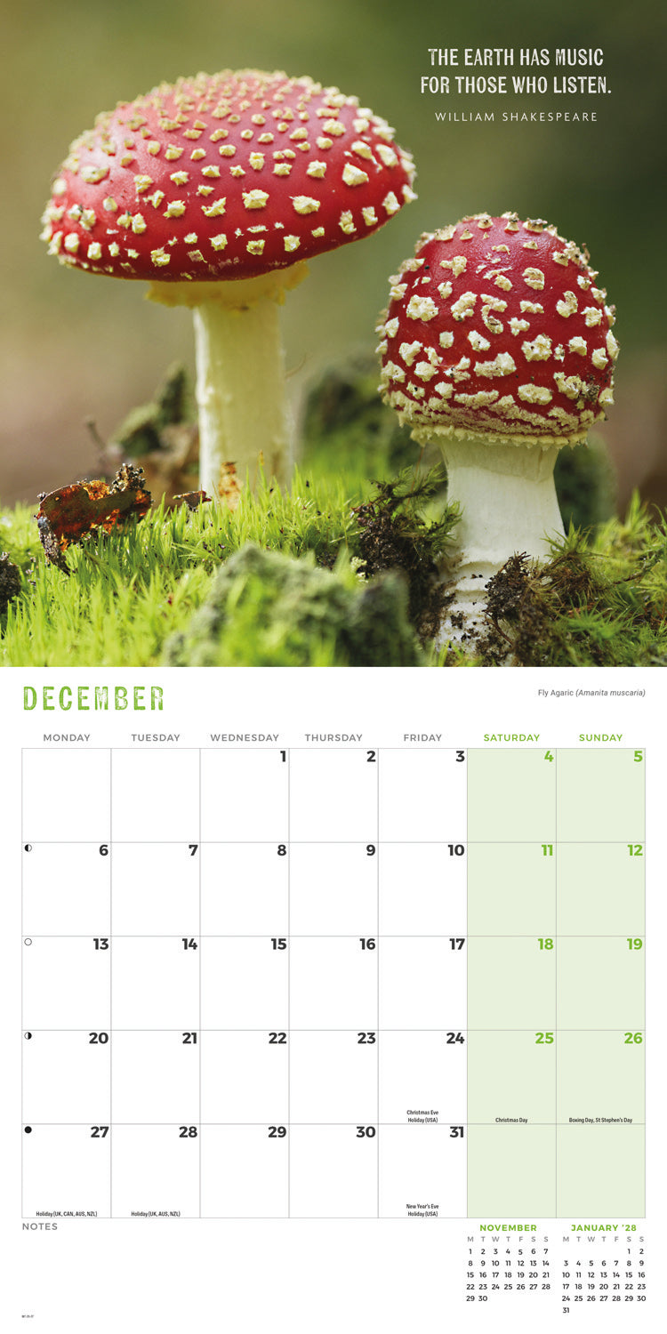 Marvellous Mushrooms Wall Calendar 2027