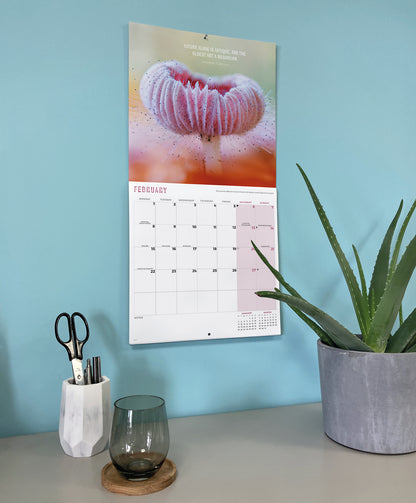 Marvellous Mushrooms Wall Calendar 2027