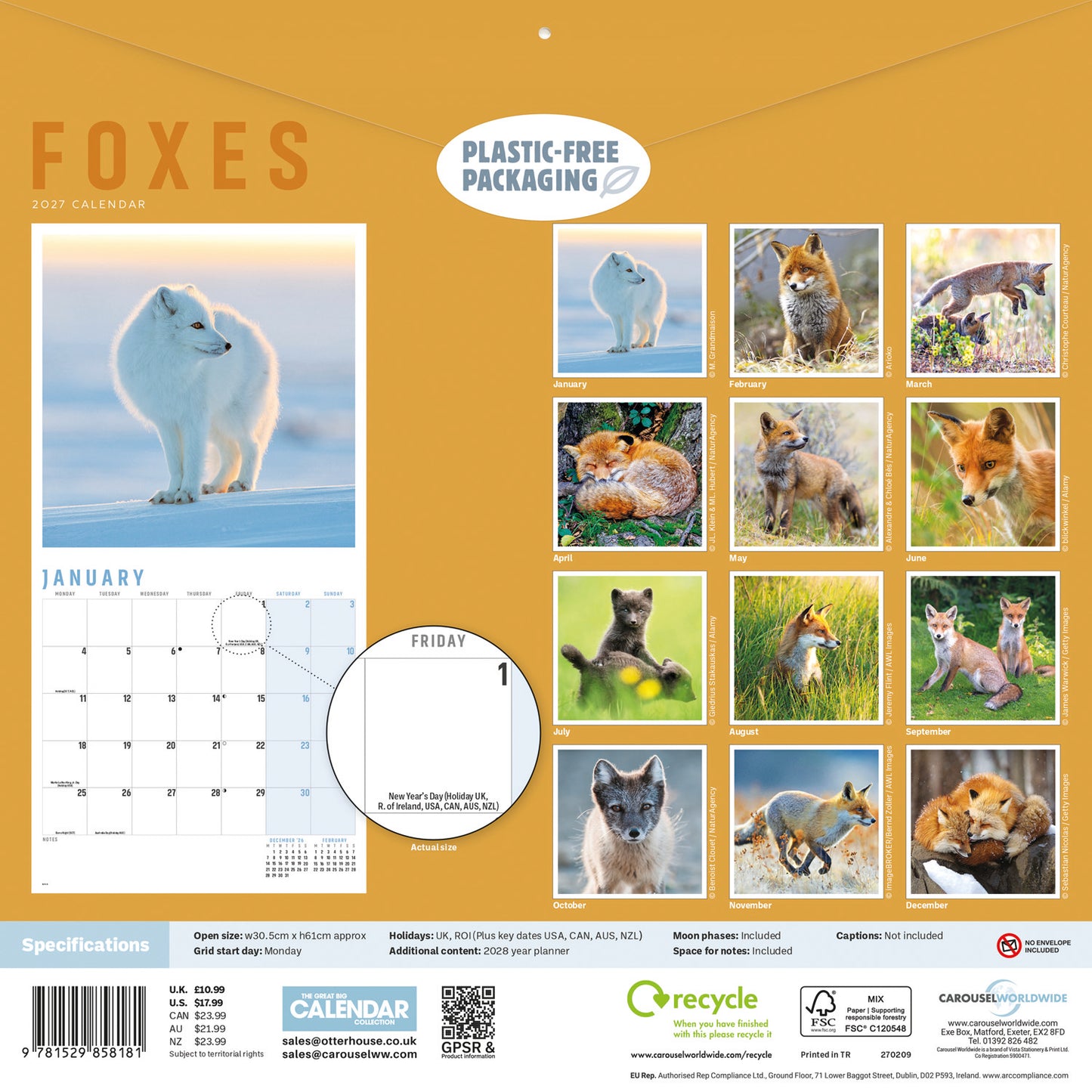 Foxes Wall Calendar 2027