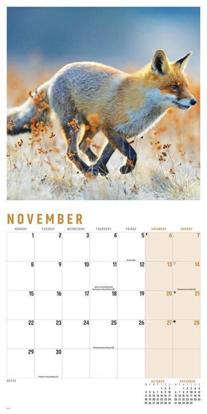 Foxes Wall Calendar 2027