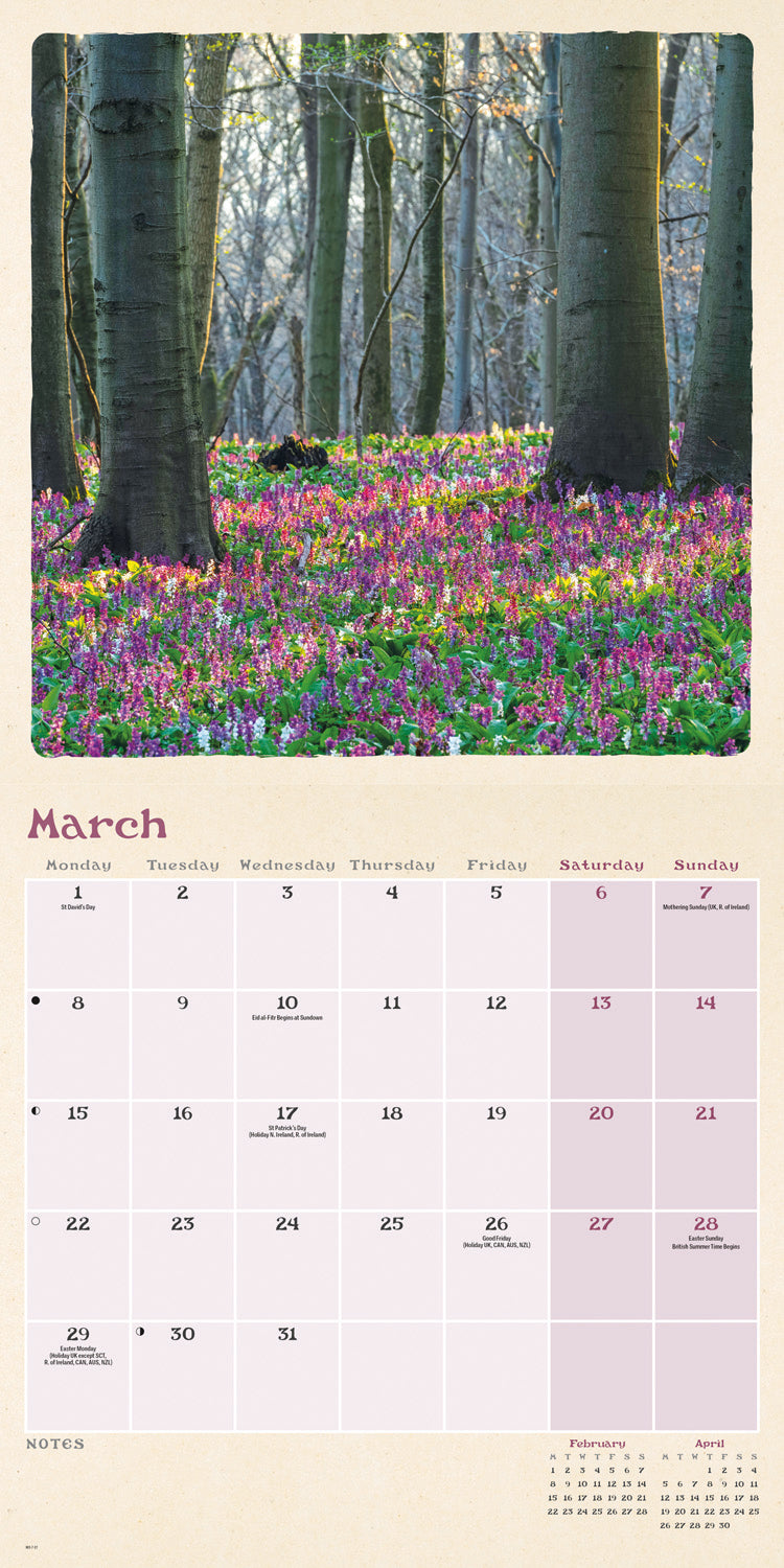 Scenic Woodland Wall Calendar 2027