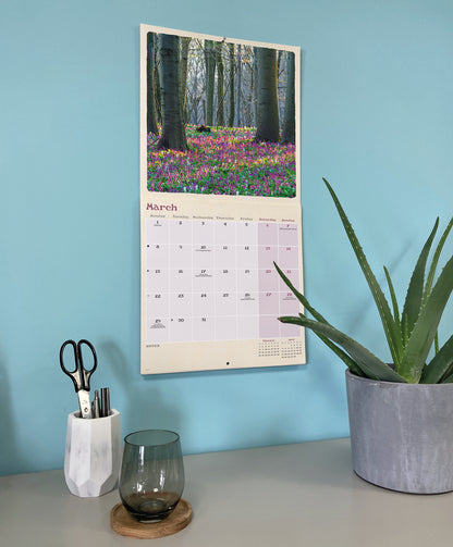 Scenic Woodland Wall Calendar 2027
