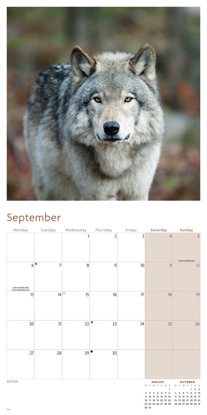 Wolves Wall Calendar 2027