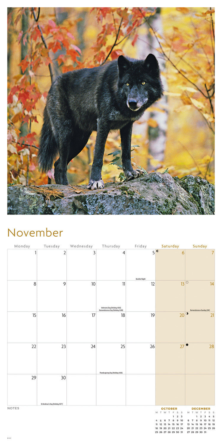 Wolves Wall Calendar 2027