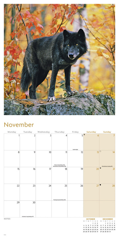 Wolves Wall Calendar 2027