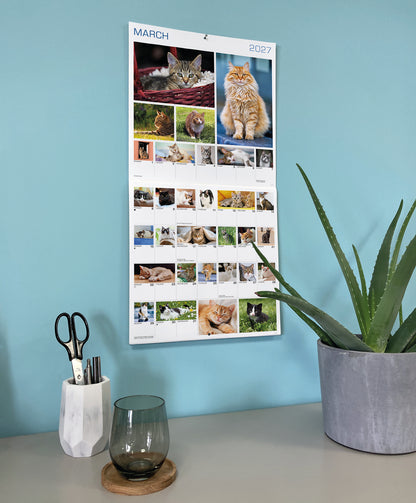 Cats 365 Days Wall Calendar 2027