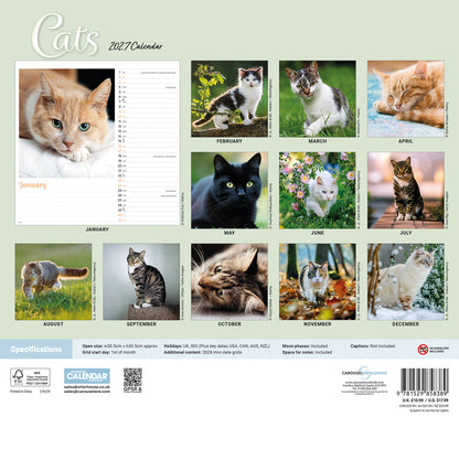 Cats Wiro Wall Calendar 2027