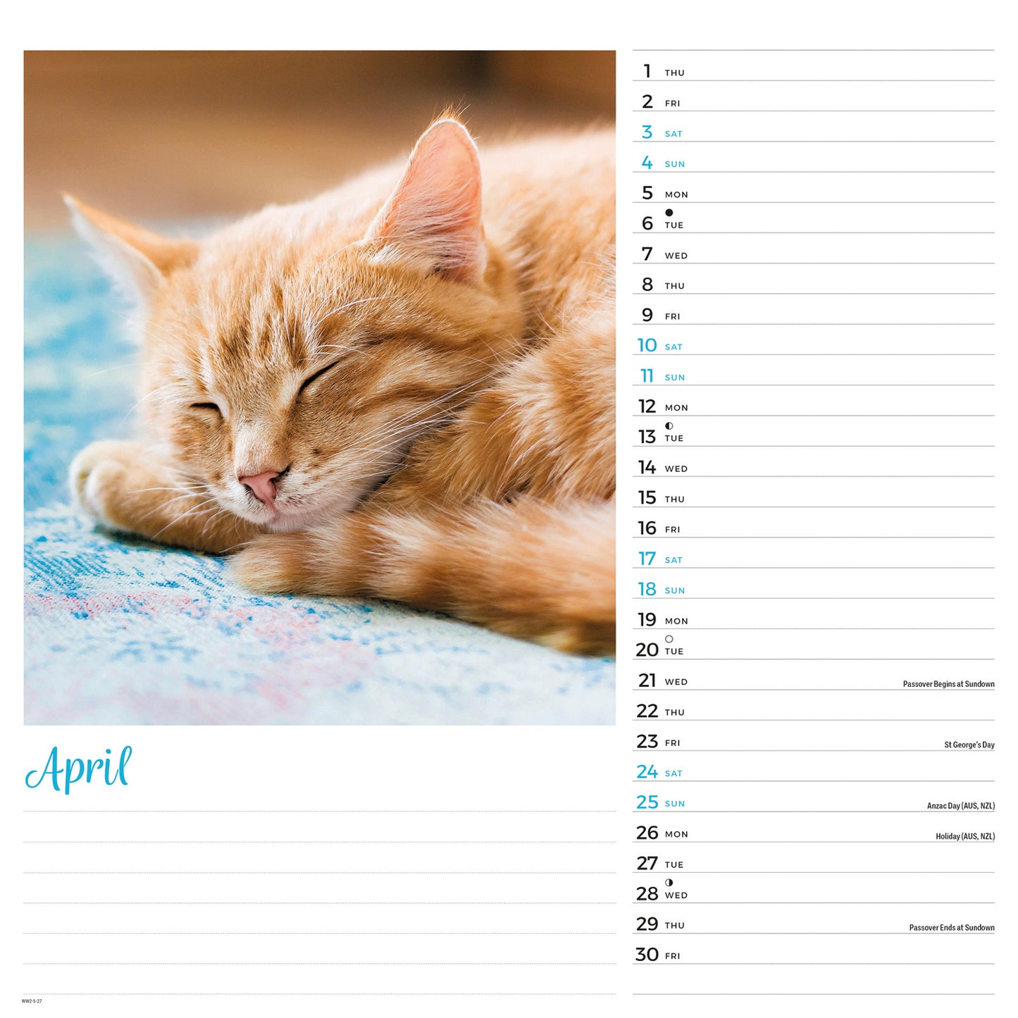 Cats Wiro Wall Calendar 2027