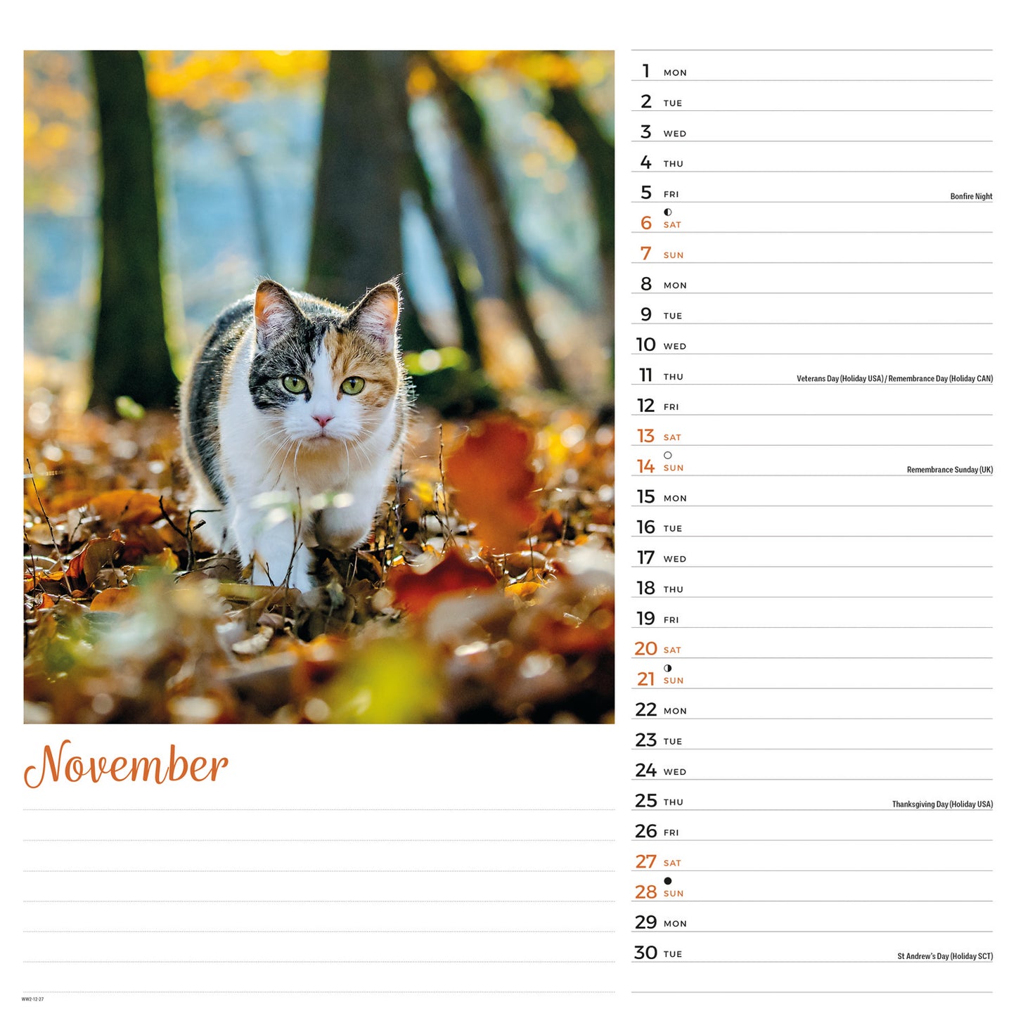 Cats Wiro Wall Calendar 2027