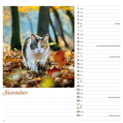 Cats Wiro Wall Calendar 2027