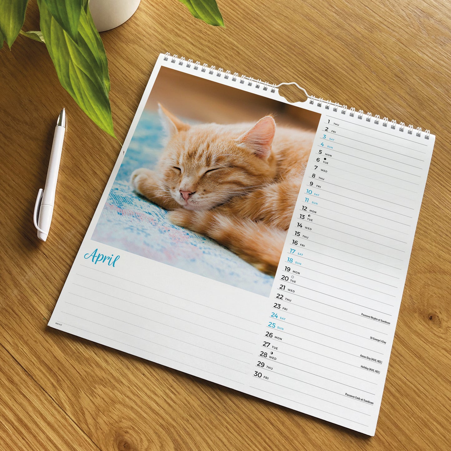 Cats Wiro Wall Calendar 2027