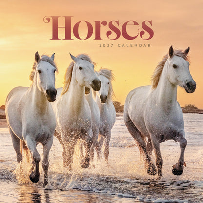 Horses Wiro Wall Calendar 2027