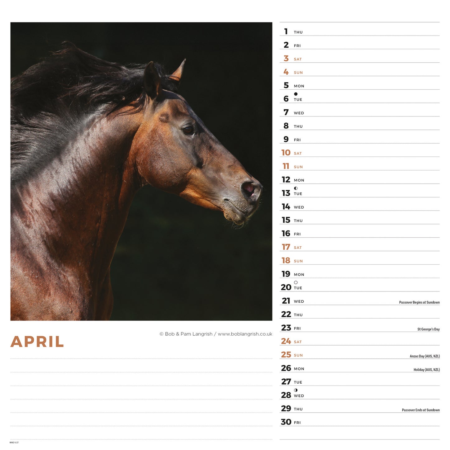 Horses Wiro Wall Calendar 2027