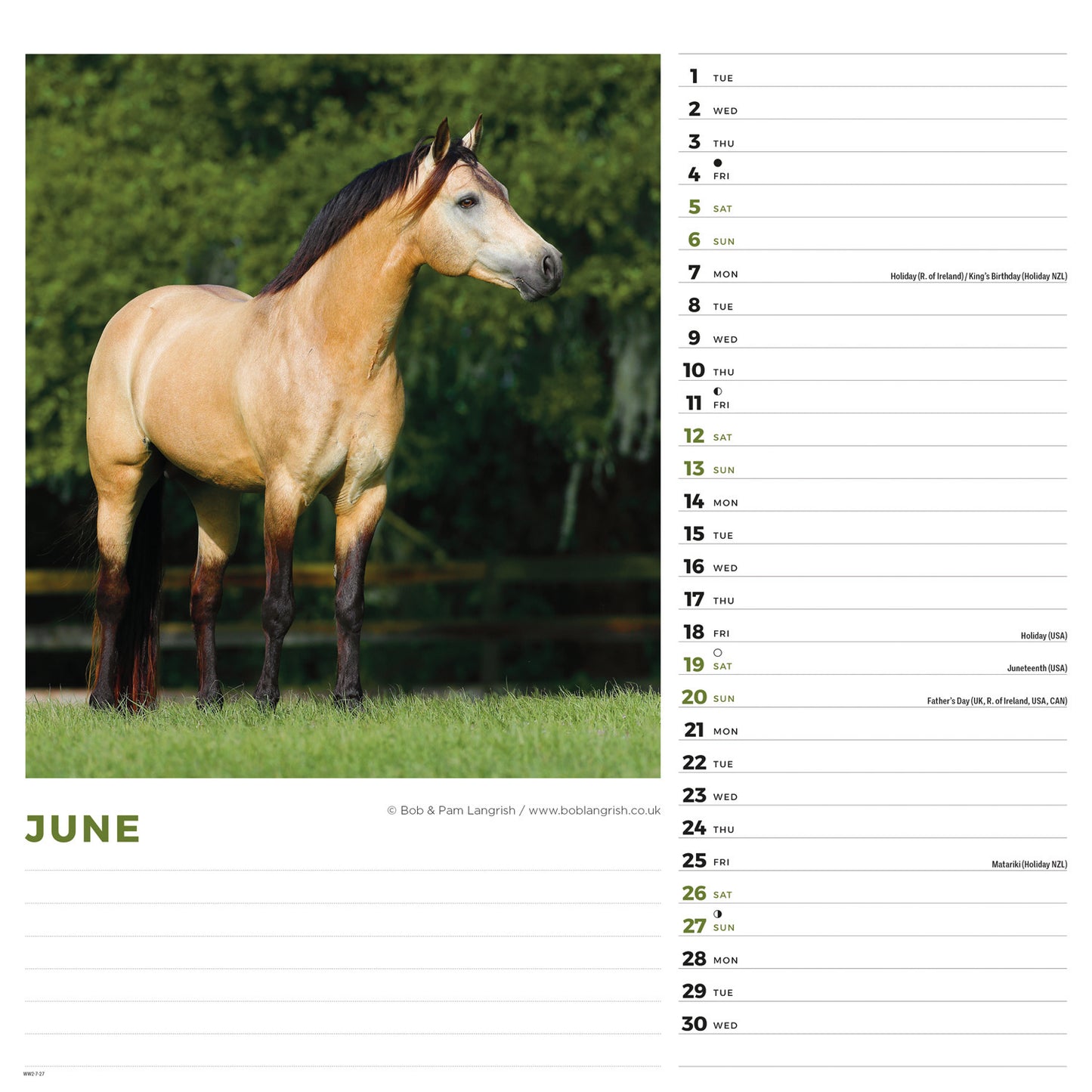 Horses Wiro Wall Calendar 2027