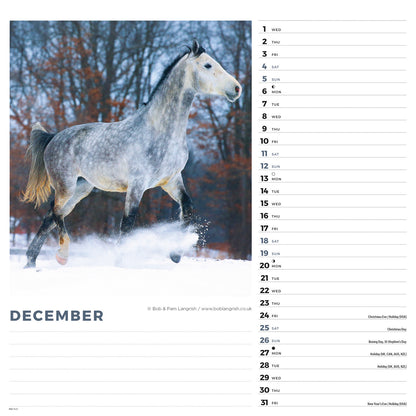 Horses Wiro Wall Calendar 2027