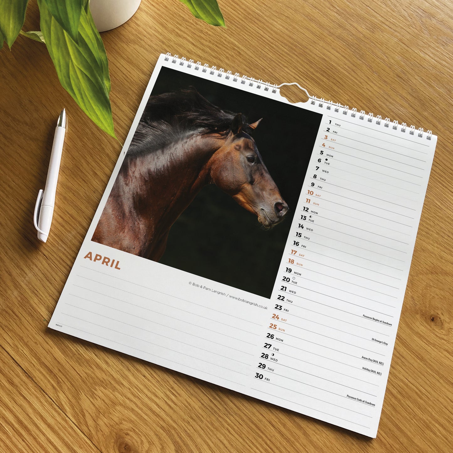 Horses Wiro Wall Calendar 2027