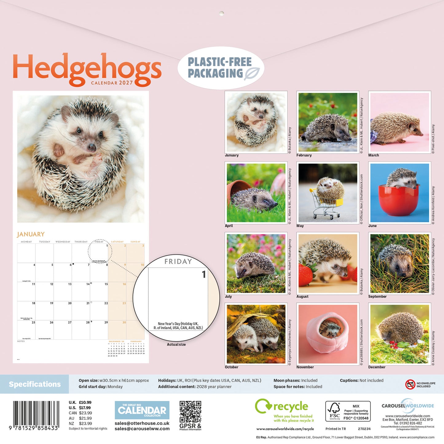 Hedgehogs Wall Calendar 2027