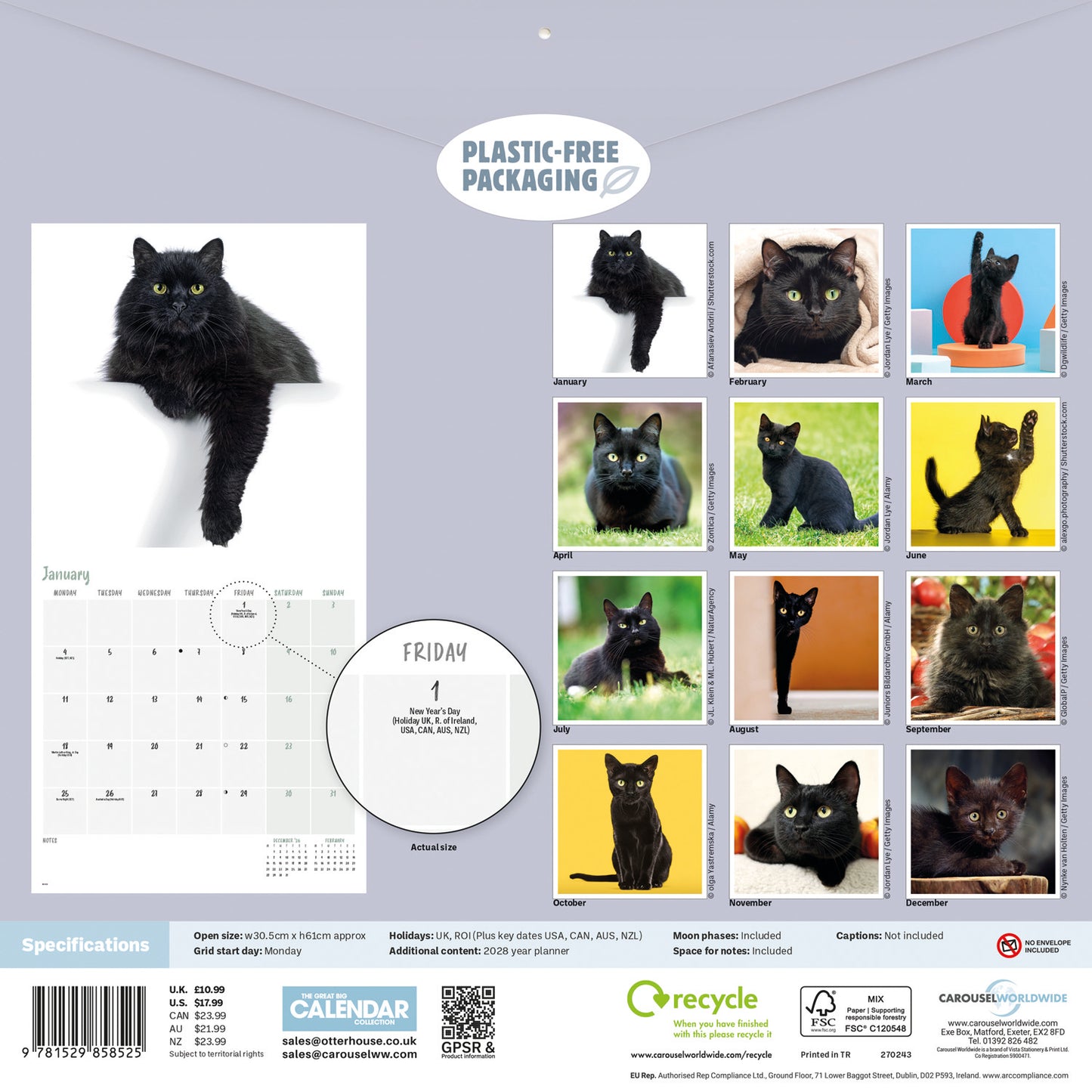Black Cats Wall Calendar 2027