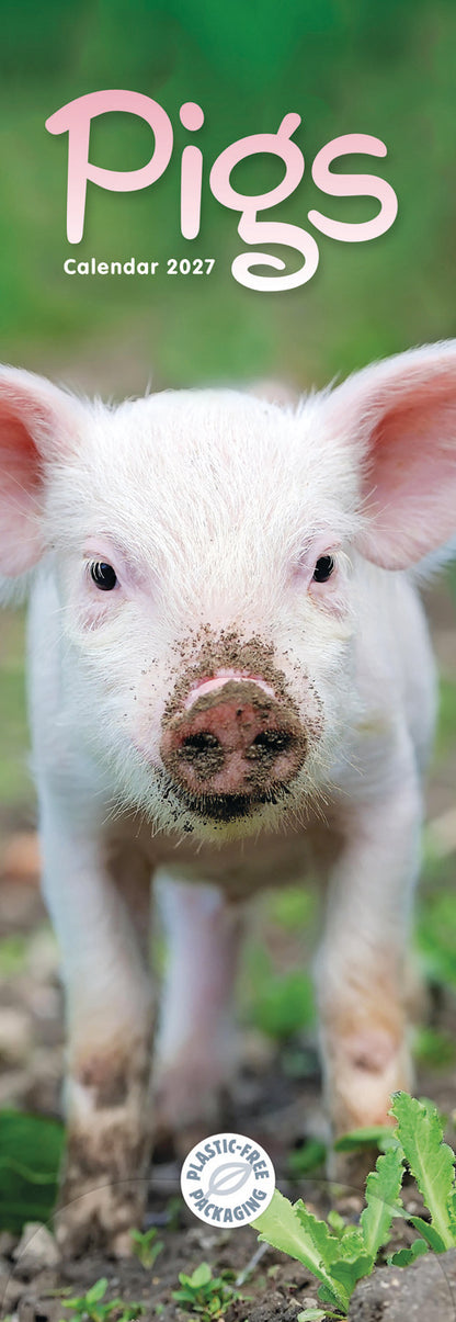 Pigs Slim Calendar 2027