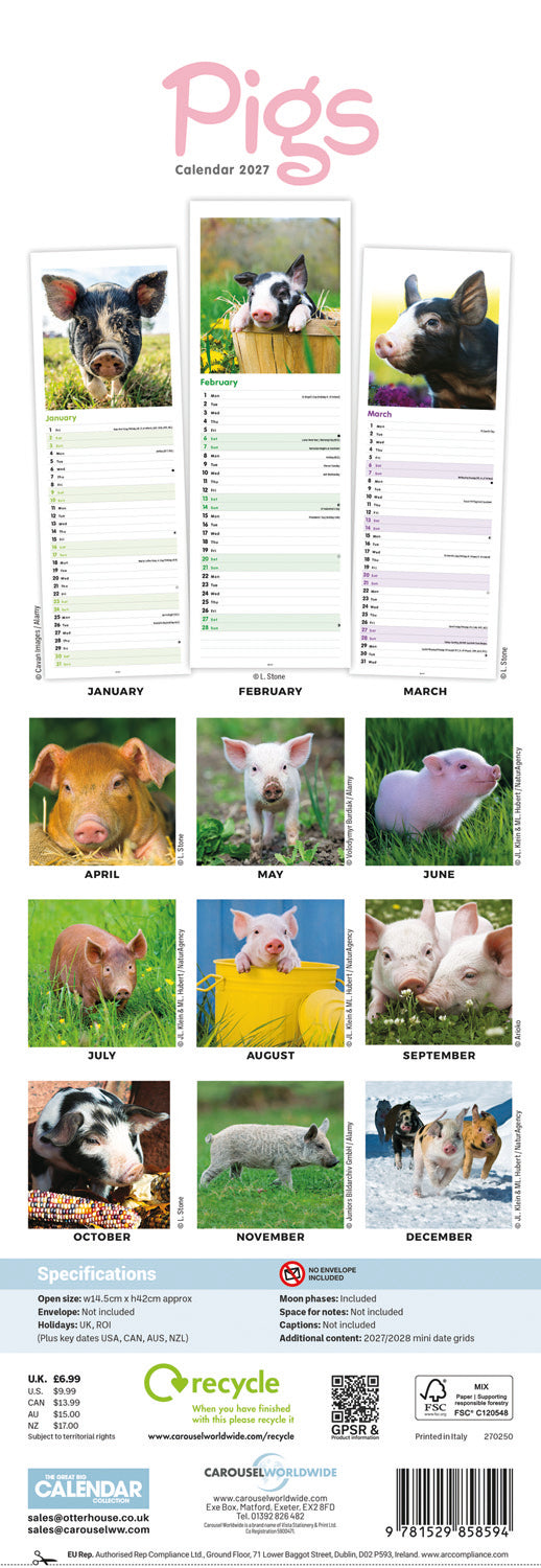 Pigs Slim Calendar 2027