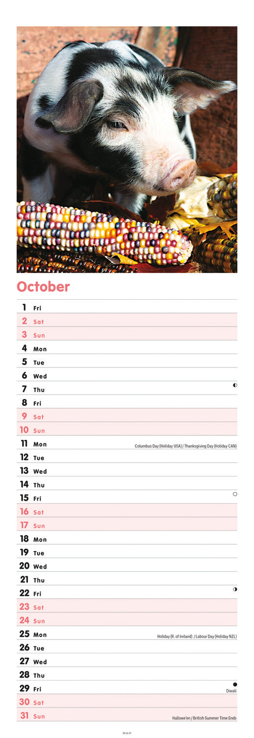 Pigs Slim Calendar 2027