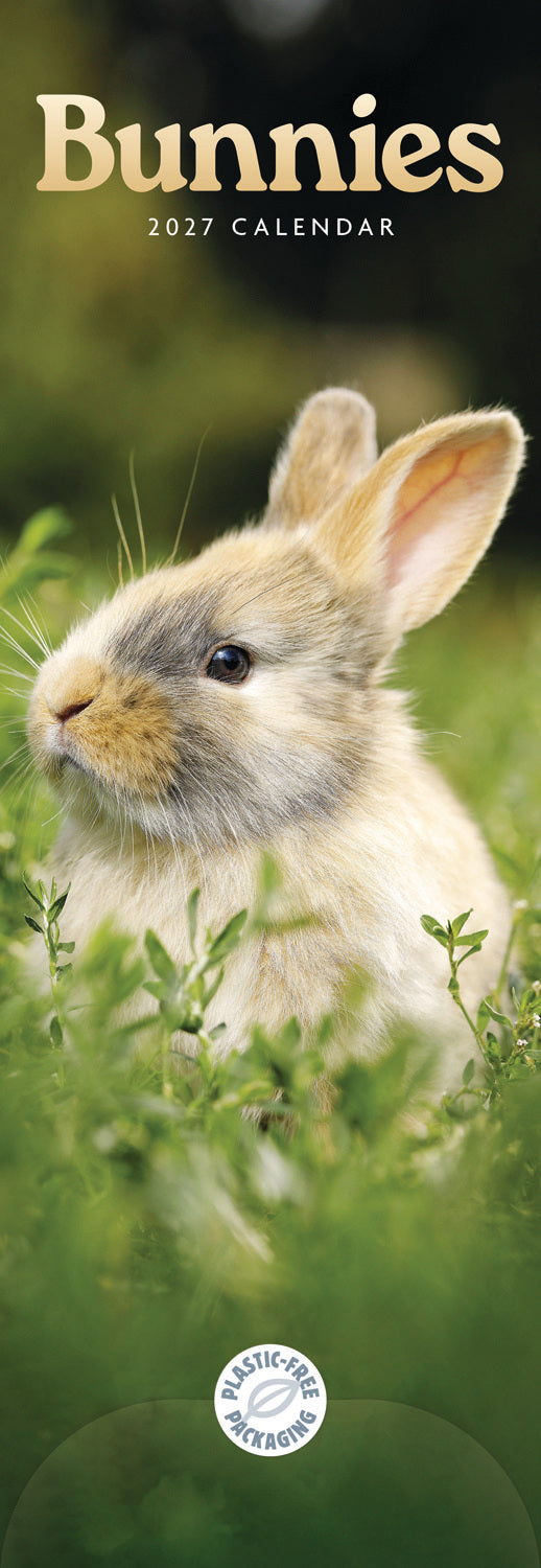 Bunnies Slim Calendar 2027