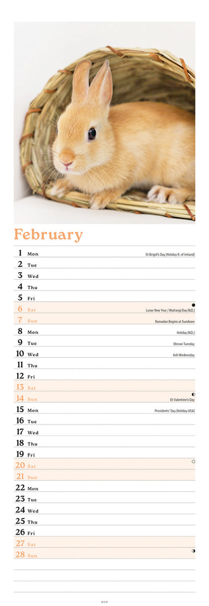 Bunnies Slim Calendar 2027