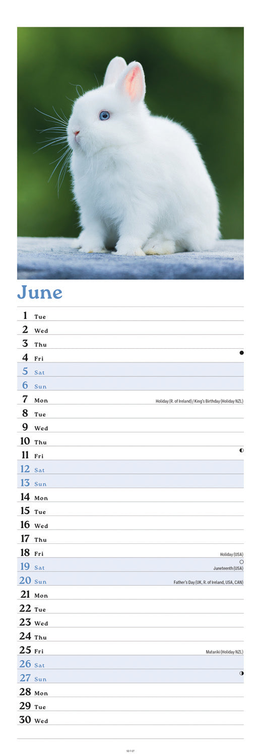 Bunnies Slim Calendar 2027