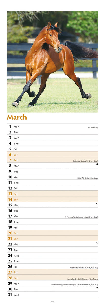 Horses Slim Calendar 2027
