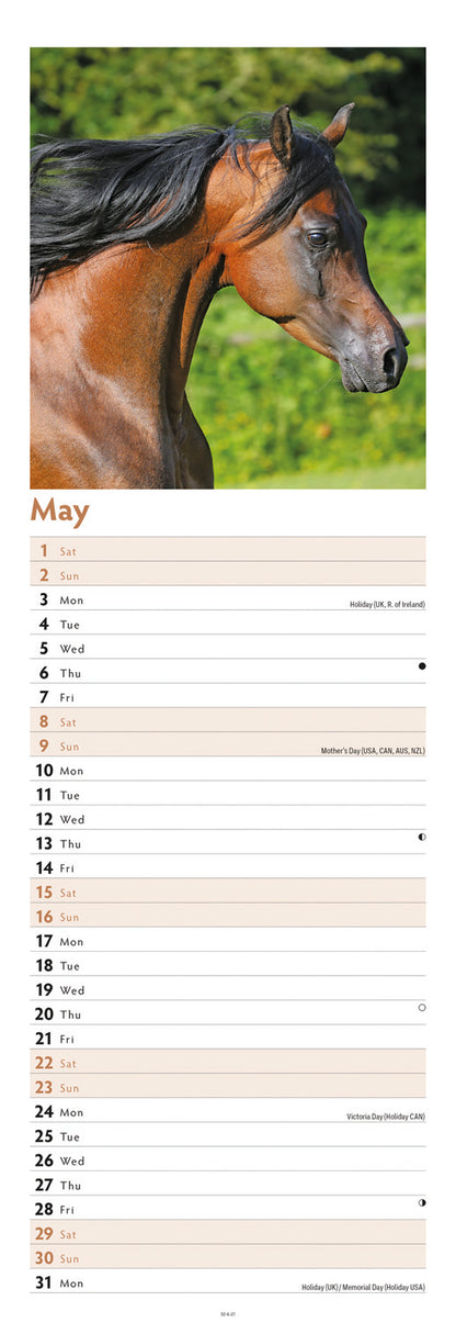 Horses Slim Calendar 2027