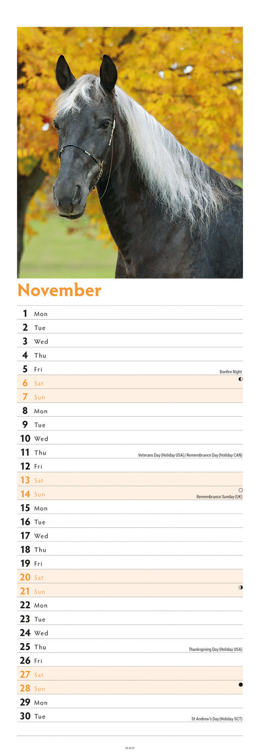 Horses Slim Calendar 2027