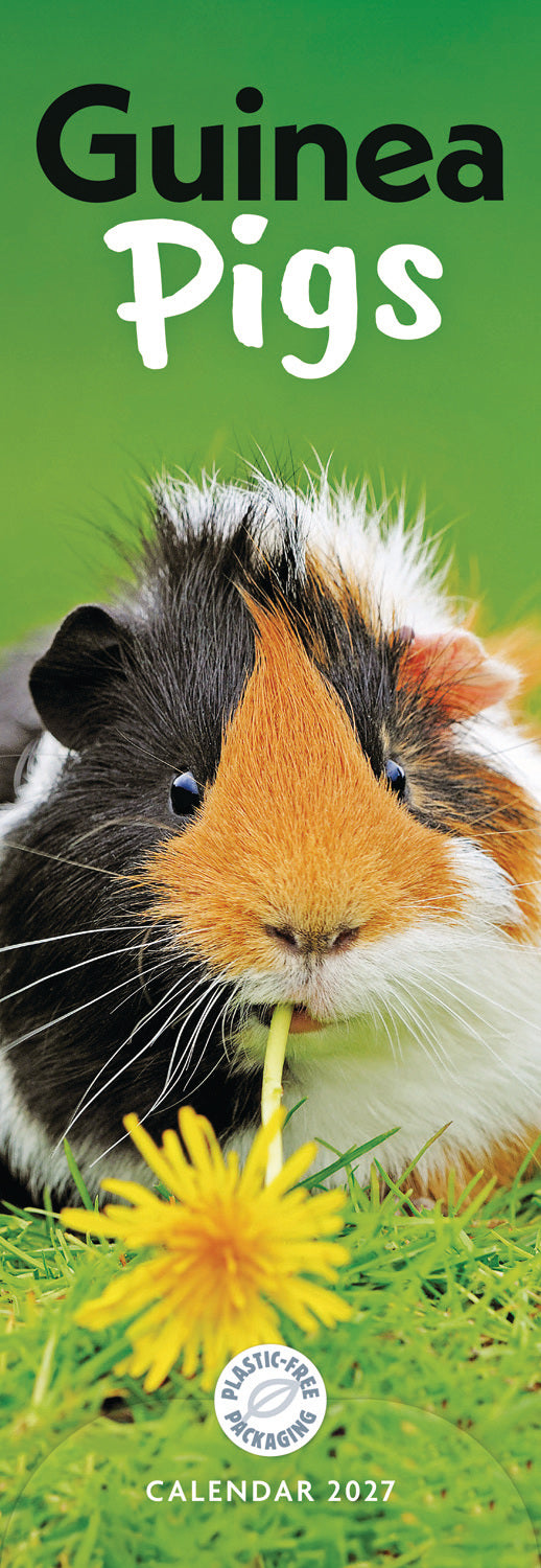 Guinea Pigs Slim Calendar 2027