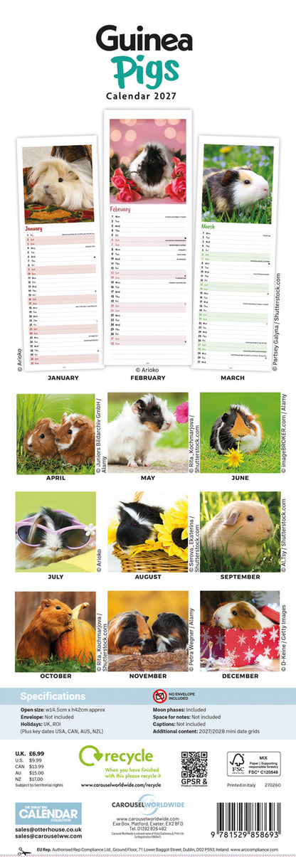 Guinea Pigs Slim Calendar 2027