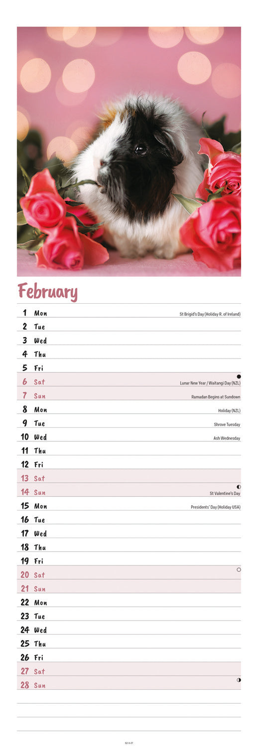 Guinea Pigs Slim Calendar 2027