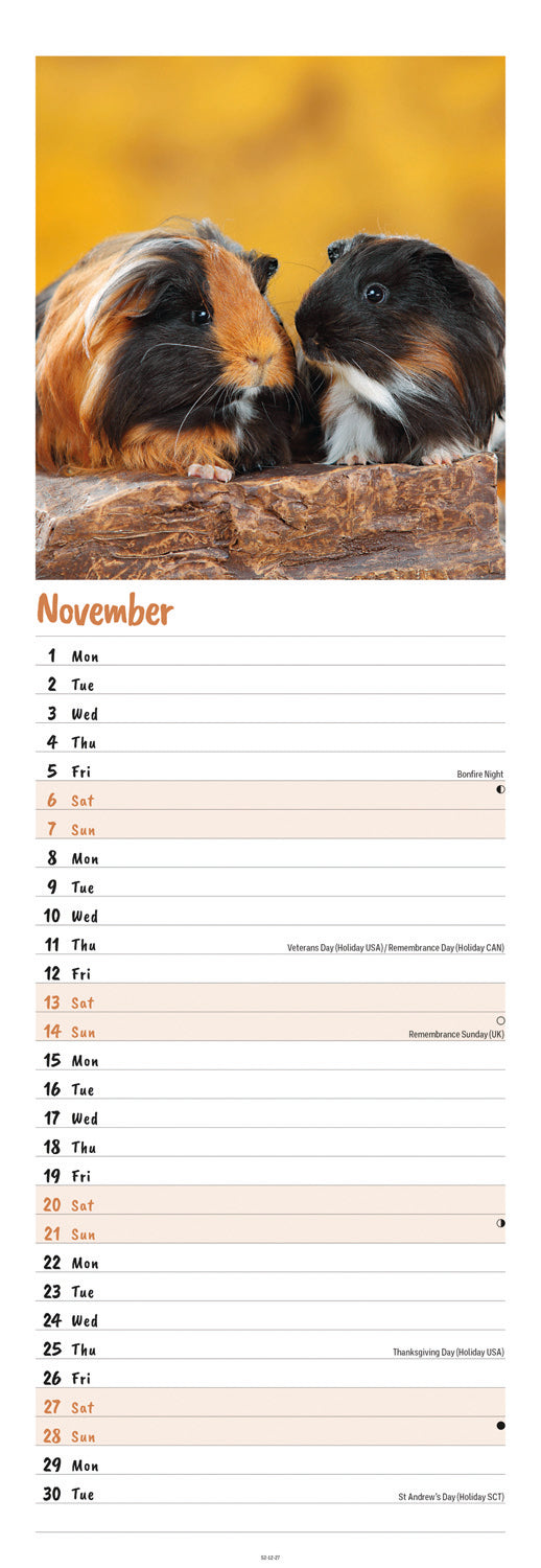 Guinea Pigs Slim Calendar 2027