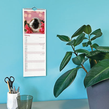 Guinea Pigs Slim Calendar 2027