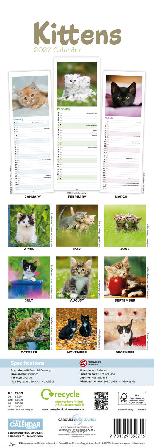 Kittens Slim Calendar 2027