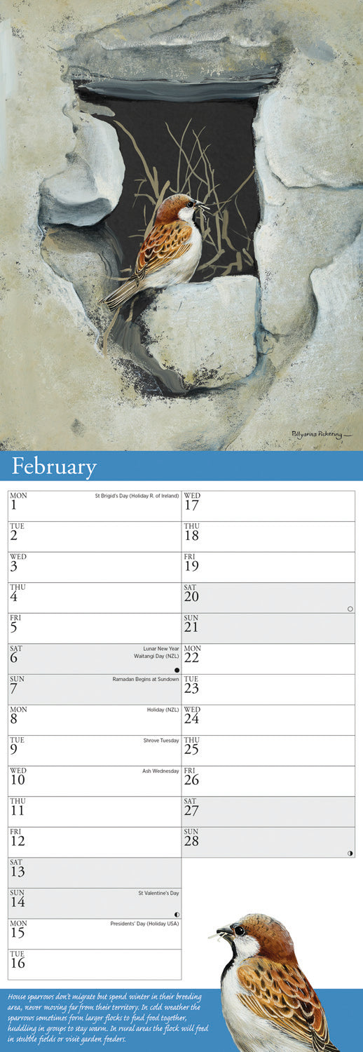 Garden Birds by Pollyanna Pickering Slim Calendar 2027