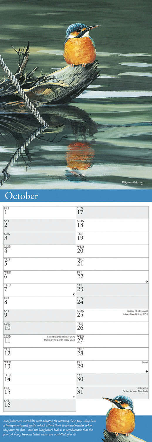 Garden Birds by Pollyanna Pickering Slim Calendar 2027