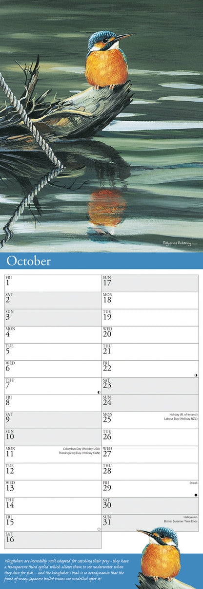 Garden Birds by Pollyanna Pickering Slim Calendar 2027
