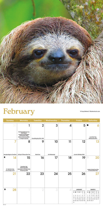 Sloths Mini Calendar 2027