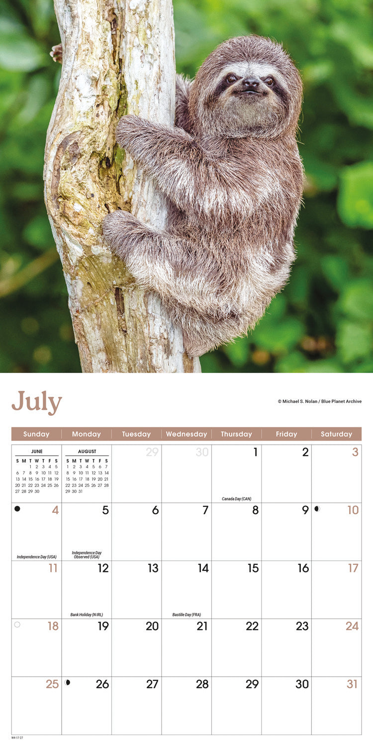 Sloths Mini Calendar 2027