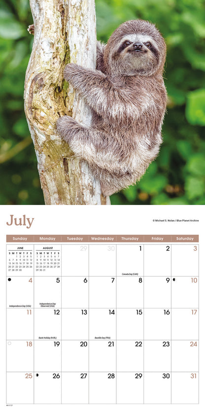 Sloths Mini Calendar 2027