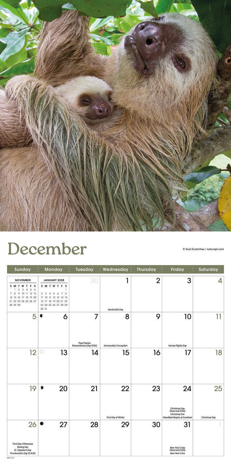 Sloths Mini Calendar 2027