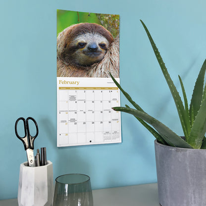 Sloths Mini Calendar 2027