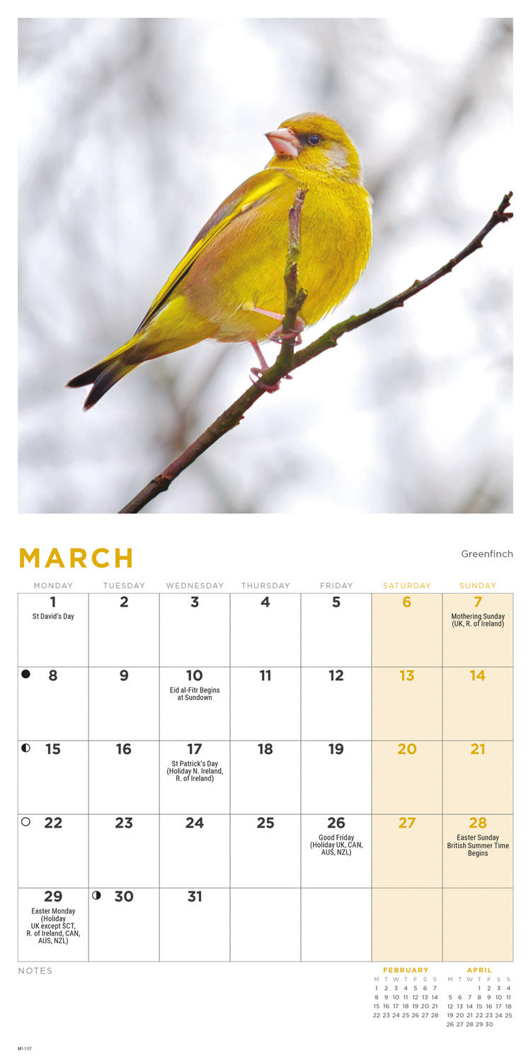 British Garden Birds Mini Calendar 2027