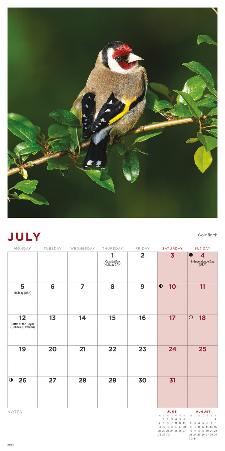 British Garden Birds Mini Calendar 2027