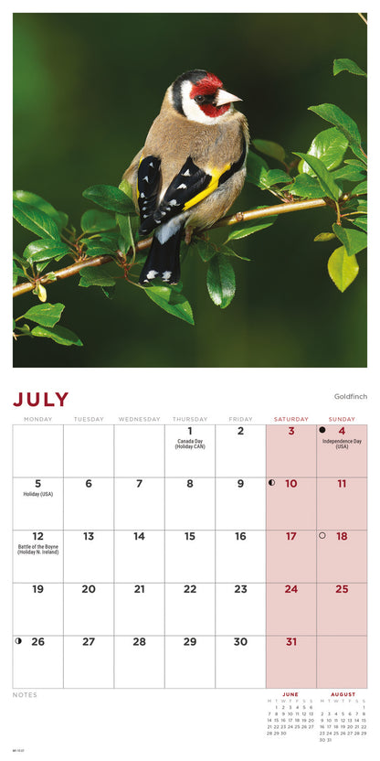 British Garden Birds Mini Calendar 2027