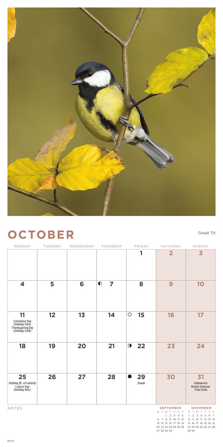 British Garden Birds Mini Calendar 2027