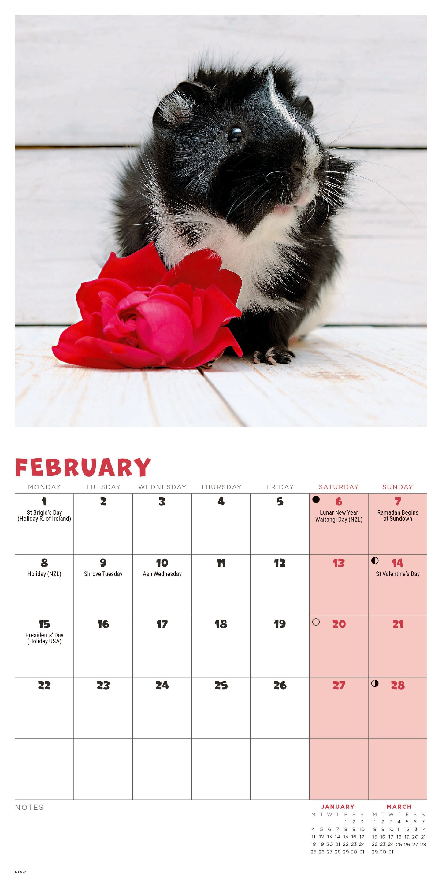 Guinea Pigs Mini Calendar 2027